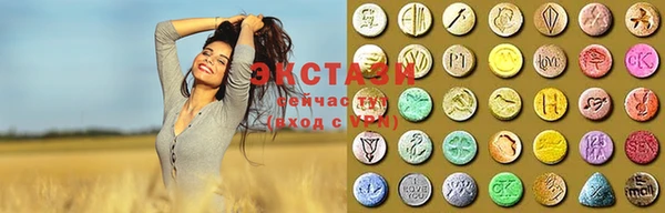 крисы Абаза