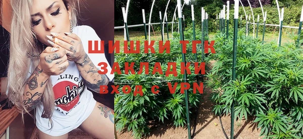 крисы Абаза