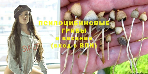 винт Нея