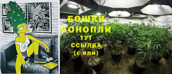 2c-b Чердынь
