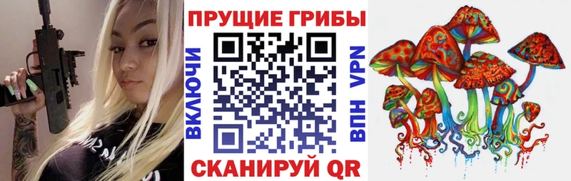 Галлюциногенные грибы Magic Shrooms хочу наркоту Кинешма